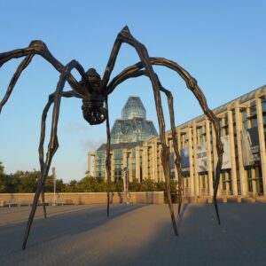 Louise Bourgeois Parigi 1911 - New York 2010