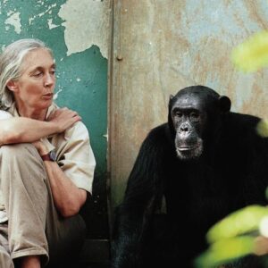 Jane Goodall Bournemouth (Inghilterra) 1934 - 