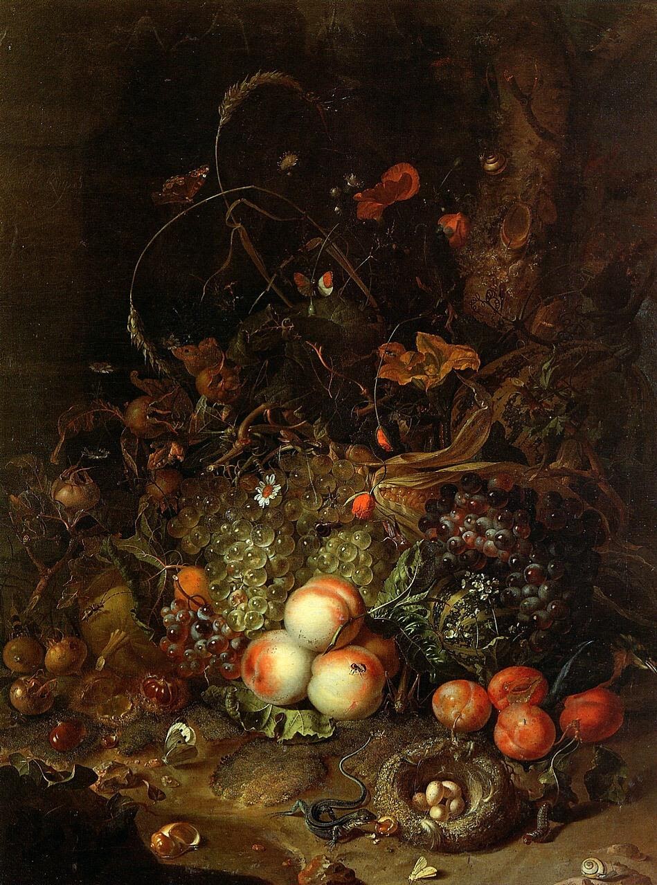 Natura morta con frutta, un nido e una lucertola, di Rachel Ruysch, 1710, collezione privata.