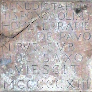 Cassandra Pavoni Ferrara 1450 - Faenza 1513